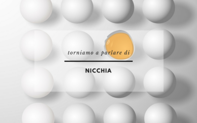 TORNIAMO A PARLARE DI NICCHIA