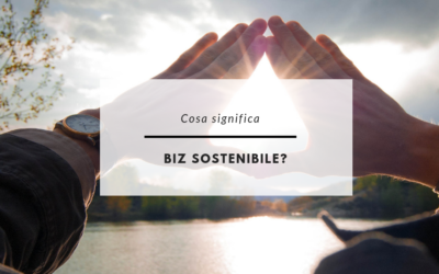 COSA SIGNIFICA UN BIZ SOSTENIBILE?
